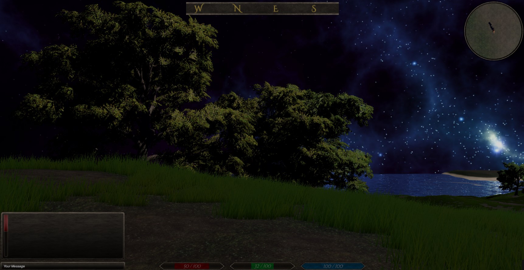 Gameplay screenshot 3